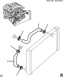GTO 2005-2006 Radiator Hoses (LS2)