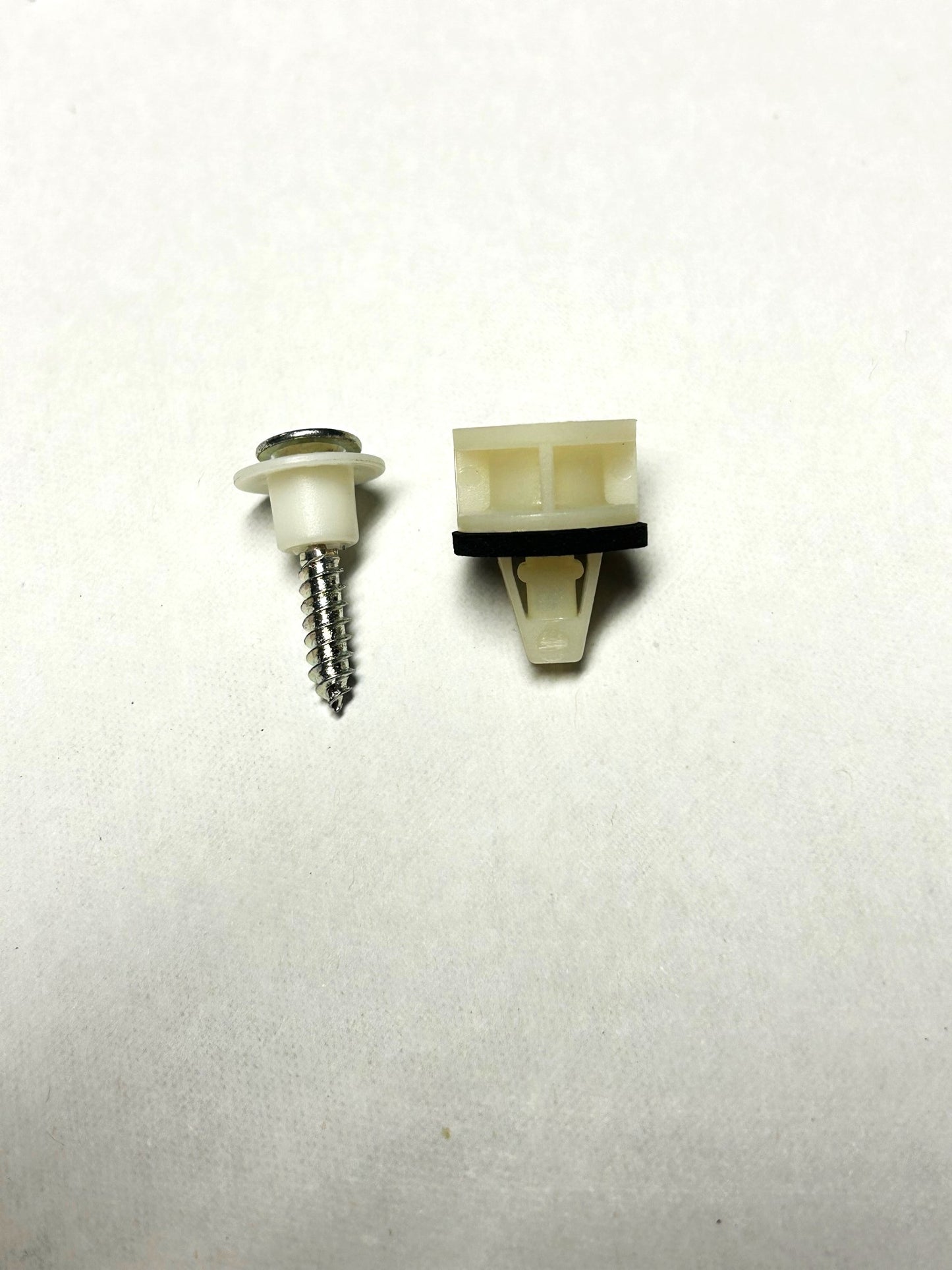 GTO Rocker Panel Screw and Retainer