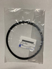 GTO Fuel Door Seal